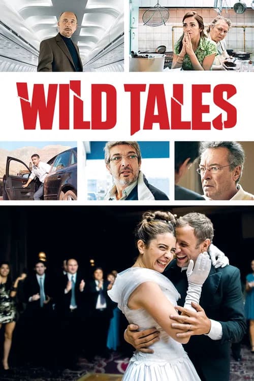 Wild Tales poster